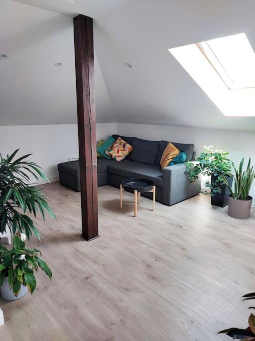 Apartment Stylowy Z Ogrodem *
